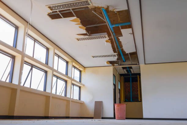 Best Water damage cleanup near me  in Ludington, MI