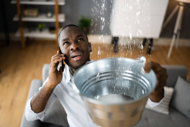 Best Local water damage restoration  in Ludington, MI