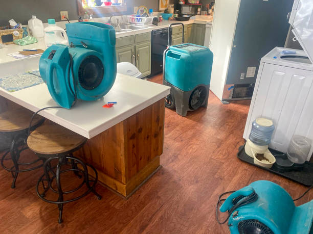 Best Basement water damage restoration  in Ludington, MI
