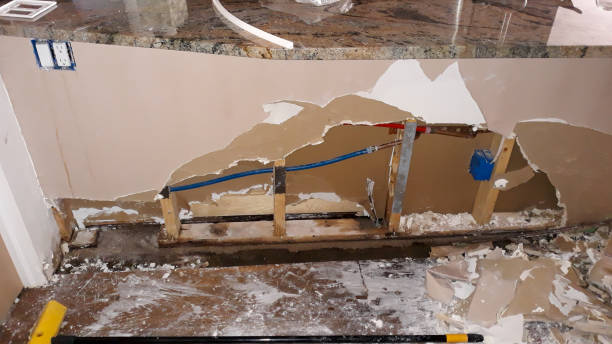 Best Flooded house restoration  in Ludington, MI