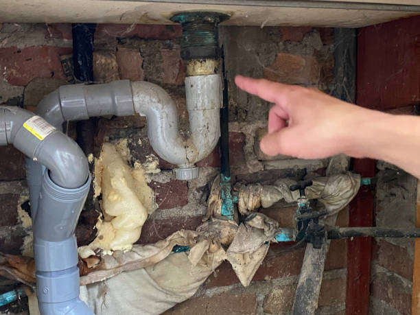 Water damage restoration mold remediation in MI