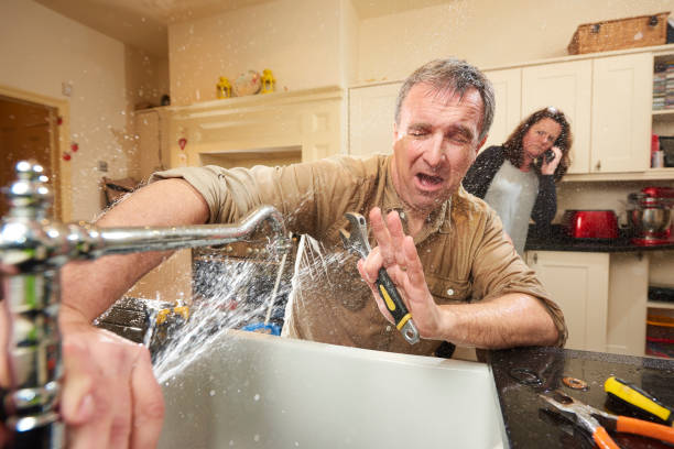 Best Water damage contractors near me  in Ludington, MI